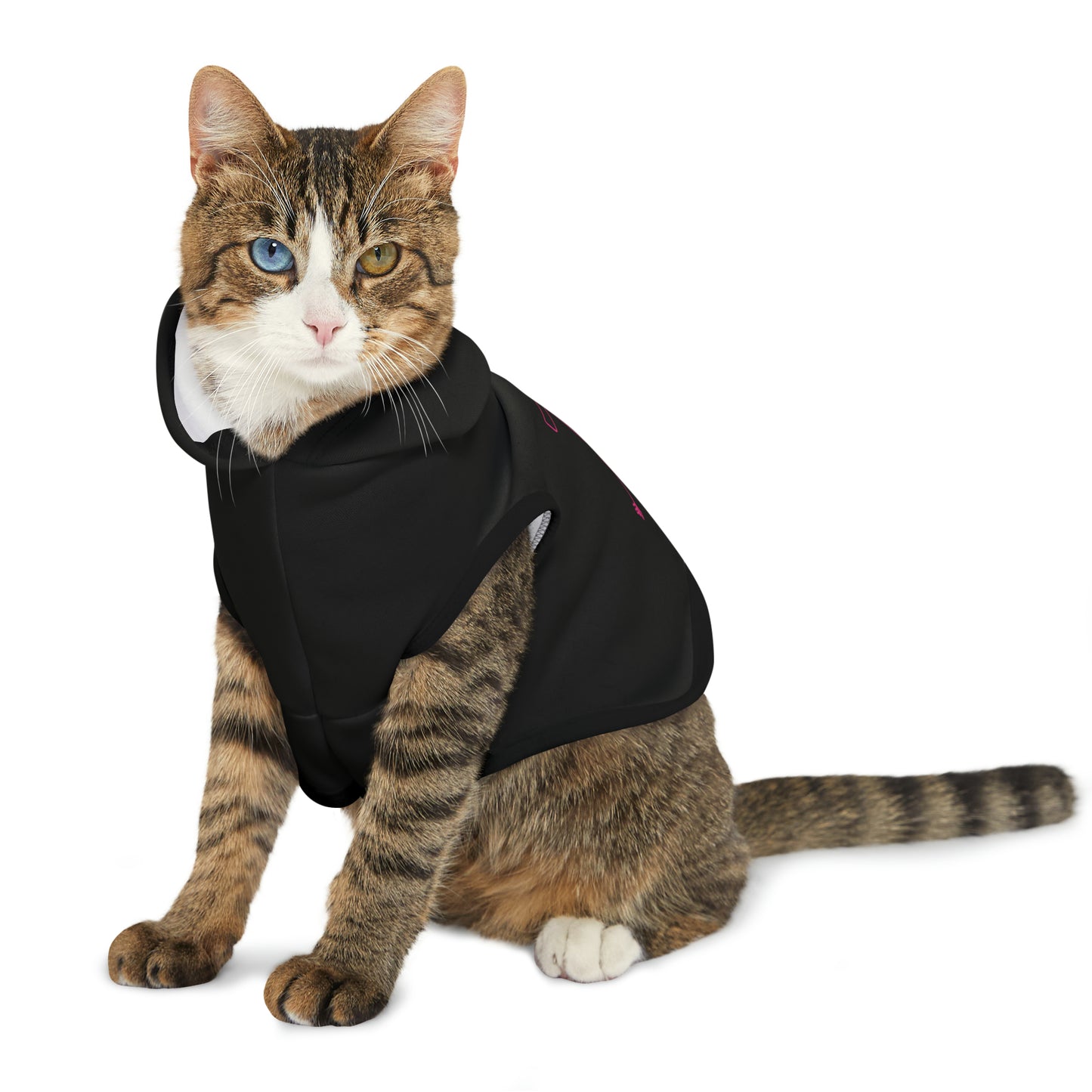 Pet Hoodie