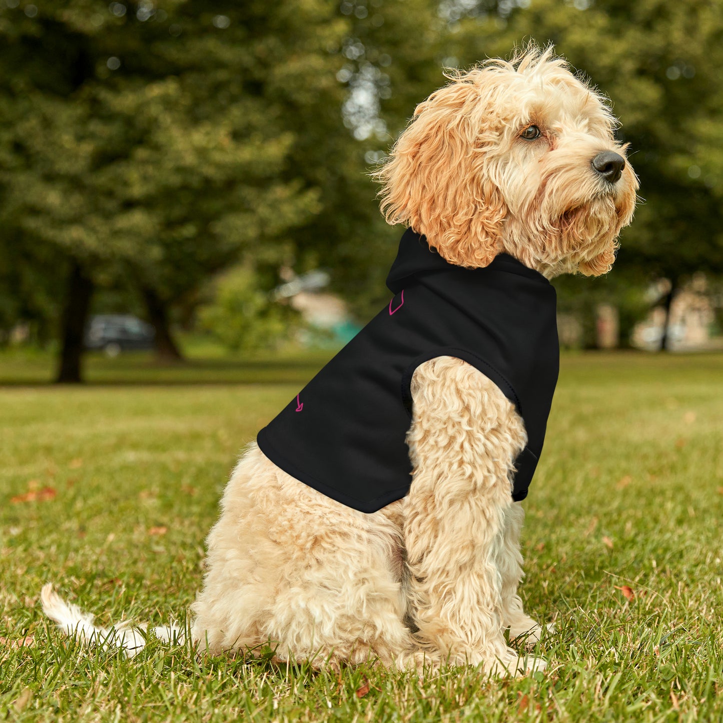Pet Hoodie